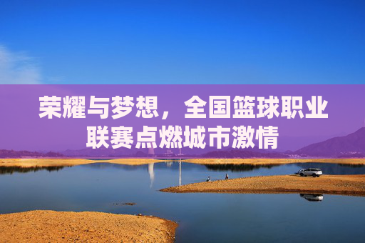 荣耀与梦想，全国篮球职业联赛点燃城市激情