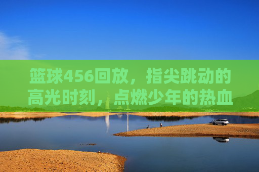 篮球456回放,指尖跳动的高光时刻,点燃少年的热血与梦想
