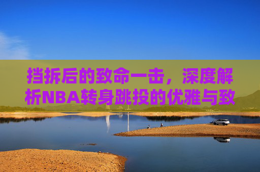 挡拆后的致命一击,深度解析NBA转身跳投的优雅与致命