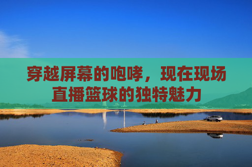 穿越屏幕的咆哮,现在现场直播篮球的独特魅力