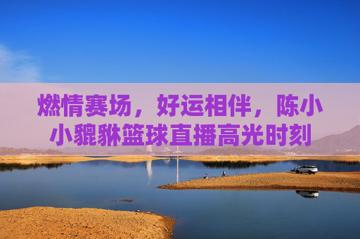 燃情赛场，好运相伴，陈小小貔貅篮球直播高光时刻