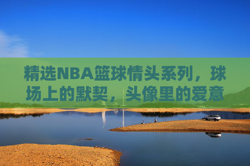 精选NBA篮球情头系列，球场上的默契，头像里的爱意