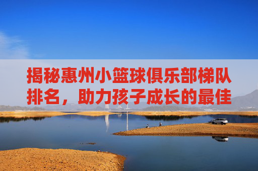 揭秘惠州小篮球俱乐部梯队排名,助力孩子成长的最佳选择