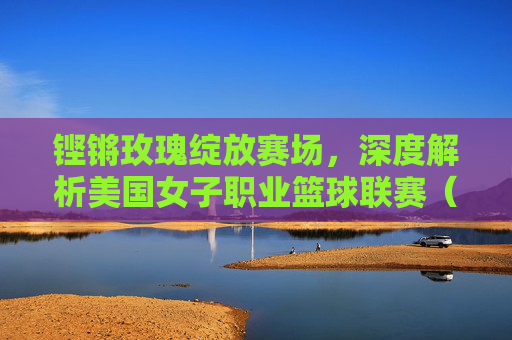 铿锵玫瑰绽放赛场，深度解析美国女子职业篮球联赛（WNBA）的崛起与影响力