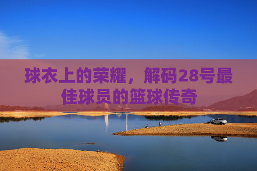 球衣上的荣耀,解码28号最佳球员的篮球传奇