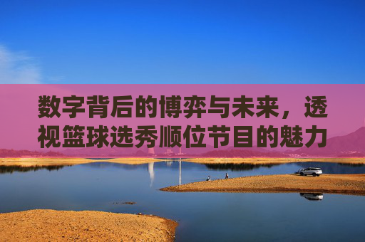 数字背后的博弈与未来,透视篮球选秀顺位节目的魅力与真相