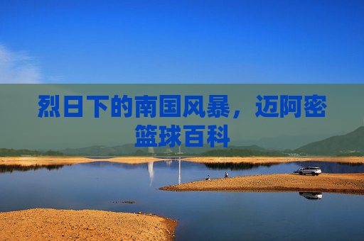 烈日下的南国风暴,迈阿密篮球百科