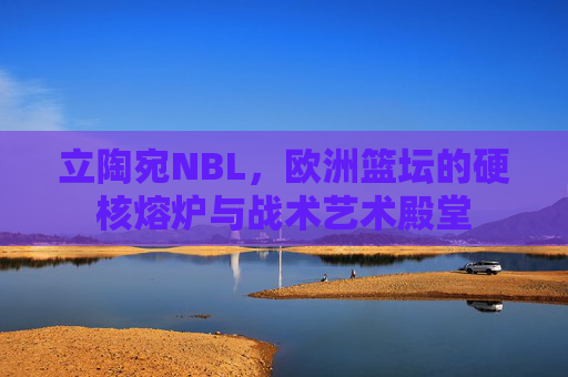 立陶宛NBL，欧洲篮坛的硬核熔炉与战术艺术殿堂