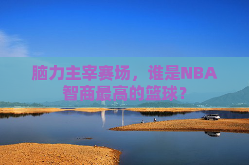 脑力主宰赛场,谁是NBA智商最高的篮球?
