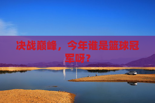 决战巅峰，今年谁是篮球冠军呀？