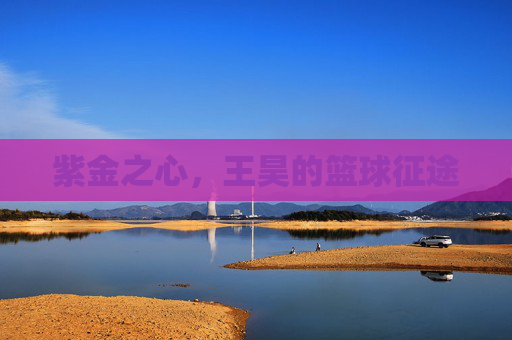 紫金之心，王昊的篮球征途
