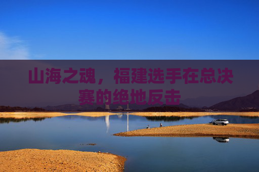 山海之魂，福建选手在总决赛的绝地反击