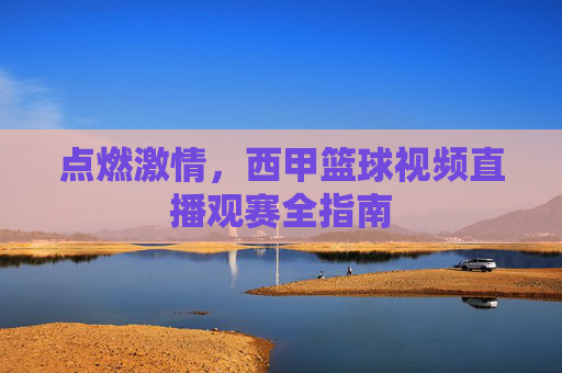 点燃激情，西甲篮球视频直播观赛全指南