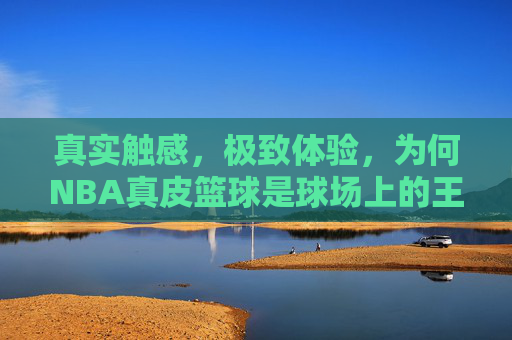 真实触感,极致体验,为何NBA真皮篮球是球场上的王者