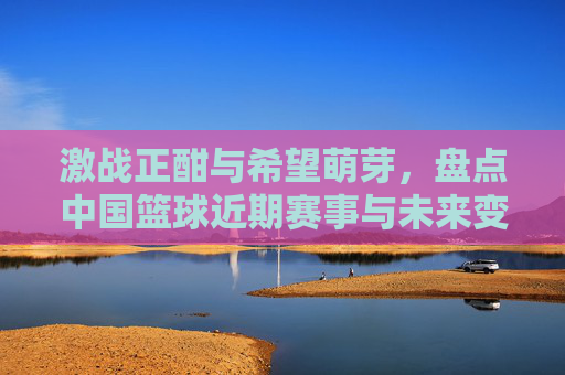 激战正酣与希望萌芽，盘点中国篮球近期赛事与未来变局
