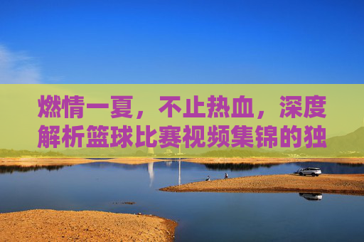 燃情一夏,不止热血,深度解析篮球比赛视频集锦的独特魅力