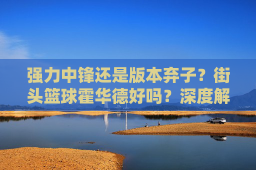 强力中锋还是版本弃子？街头篮球霍华德好吗？深度解析
