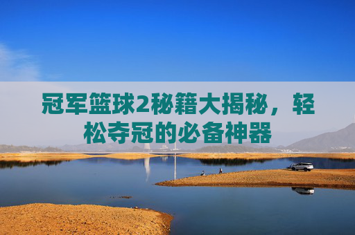 冠军篮球2秘籍大揭秘,轻松夺冠的必备神器