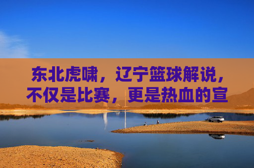东北虎啸，辽宁篮球解说，不仅是比赛，更是热血的宣泄与地域的骄傲