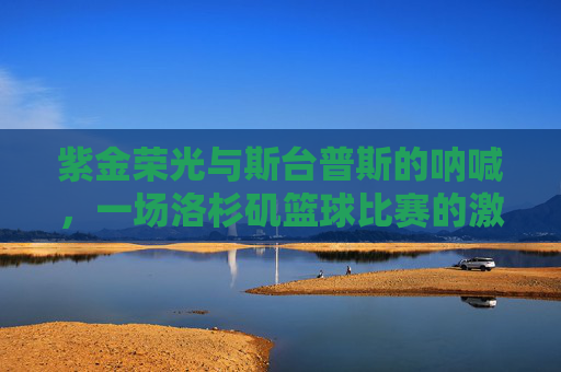 紫金荣光与斯台普斯的呐喊，一场洛杉矶篮球比赛的激情实录