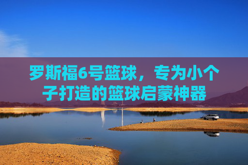 罗斯福6号篮球，专为小个子打造的篮球启蒙神器