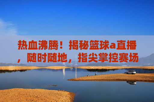 热血沸腾!揭秘篮球a直播,随时随地,指尖掌控赛场风云