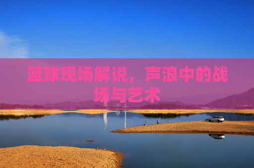 篮球现场解说,声浪中的战场与艺术