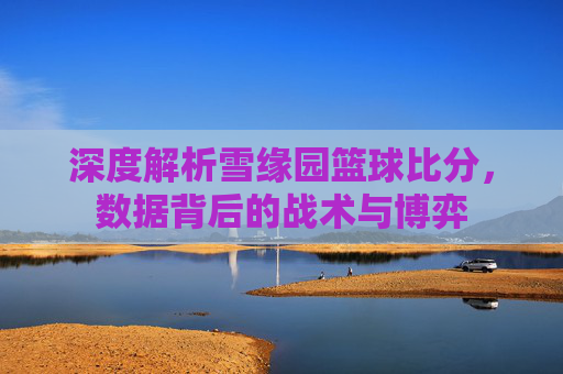 深度解析雪缘园篮球比分,数据背后的战术与博弈