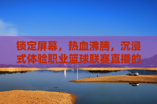 锁定屏幕,热血沸腾,沉浸式体验职业篮球联赛直播的极致激情