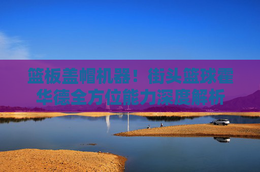 篮板盖帽机器!街头篮球霍华德全方位能力深度解析