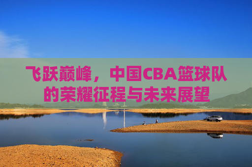 飞跃巅峰,中国CBA篮球队的荣耀征程与未来展望