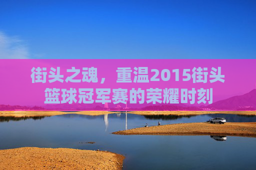 街头之魂,重温2015街头篮球冠军赛的荣耀时刻