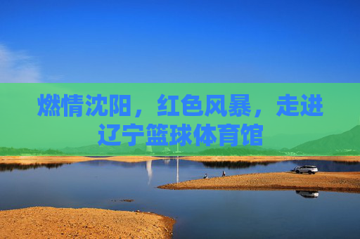 燃情沈阳,红色风暴,走进辽宁篮球体育馆
