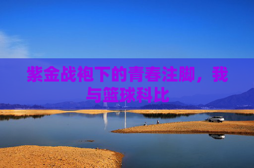 紫金战袍下的青春注脚,我与篮球科比