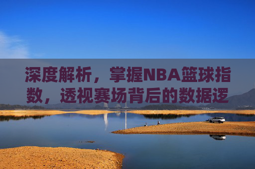 深度解析,掌握NBA篮球指数,透视赛场背后的数据逻辑