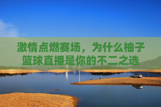 激情点燃赛场,为什么柚子篮球直播是你的不二之选