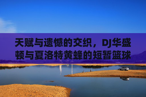 天赋与遗憾的交织,DJ华盛顿与夏洛特黄蜂的短暂篮球岁月