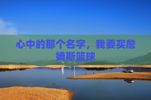 心中的那个名字,我要买詹姆斯篮球