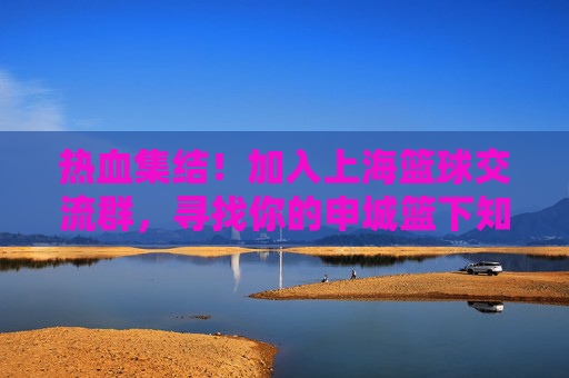 热血集结!加入上海篮球交流群,寻找你的申城篮下知己