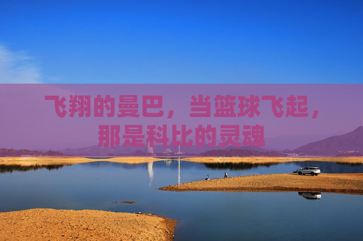 飞翔的曼巴，当篮球飞起，那是科比的灵魂