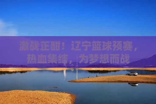 激战正酣!辽宁篮球预赛,热血集结,为梦想而战