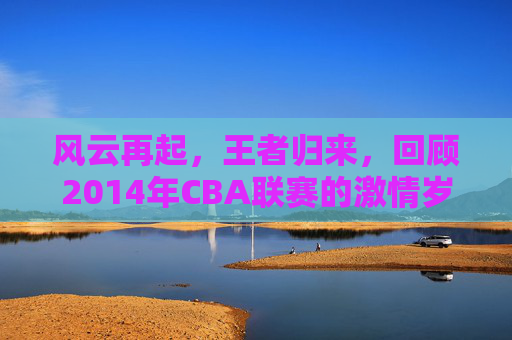 风云再起，王者归来，回顾2014年CBA联赛的激情岁月
