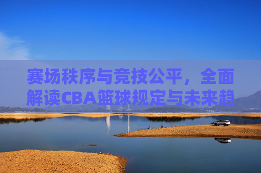 赛场秩序与竞技公平,全面解读CBA篮球规定与未来趋势