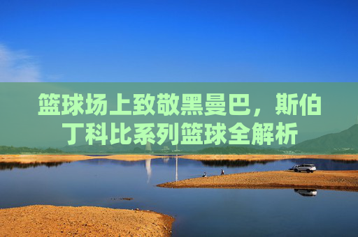 篮球场上致敬黑曼巴,斯伯丁科比系列篮球全解析