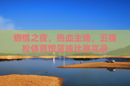 燃情之夜，热血主场，五棵松体育馆篮球比赛实录
