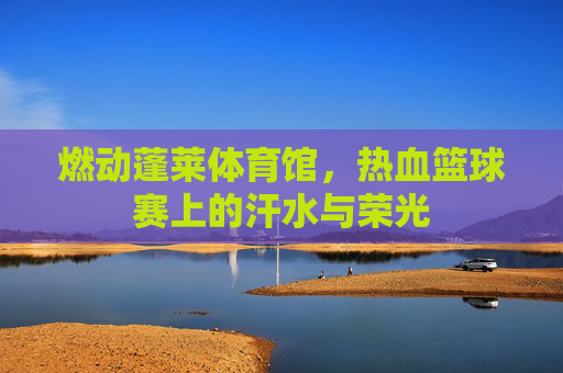 燃动蓬莱体育馆,热血篮球赛上的汗水与荣光