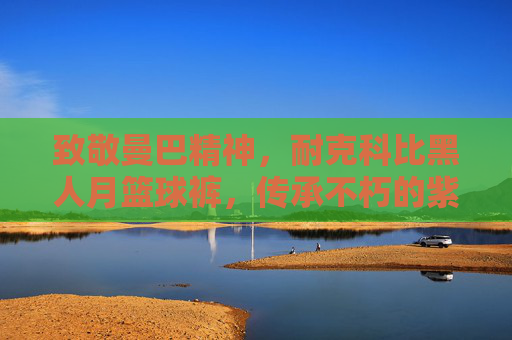 致敬曼巴精神,耐克科比黑人月篮球裤,传承不朽的紫金荣光