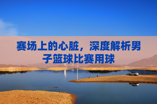 赛场上的心脏,深度解析男子篮球比赛用球