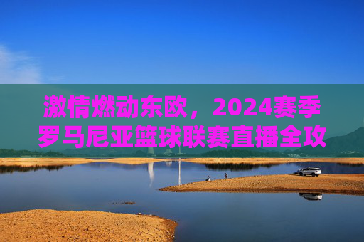 激情燃动东欧,2024赛季罗马尼亚篮球联赛直播全攻略