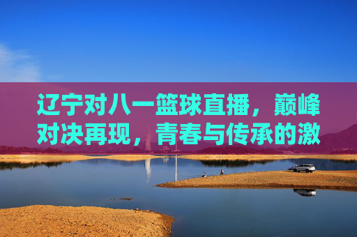 辽宁对八一篮球直播，巅峰对决再现，青春与传承的激情碰撞